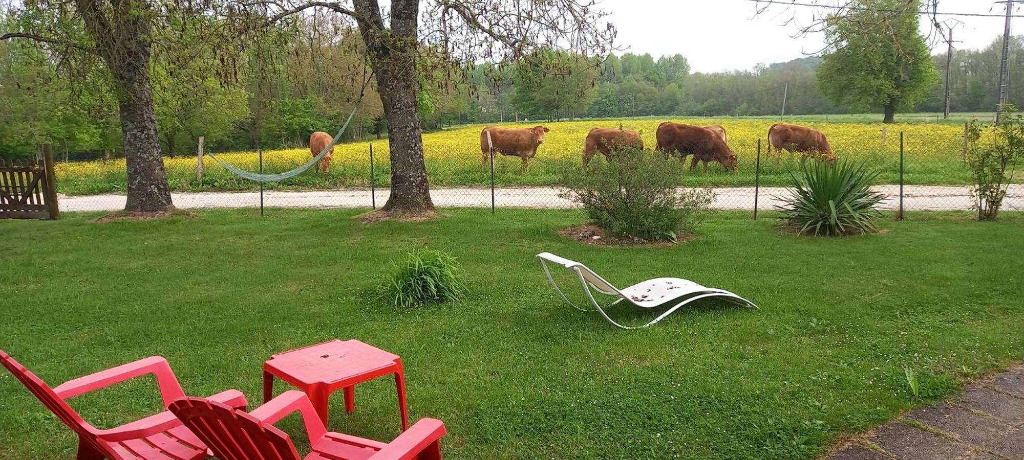 Gite Rouge Calme Et Nature Allas-Bocage Zewnętrze zdjęcie